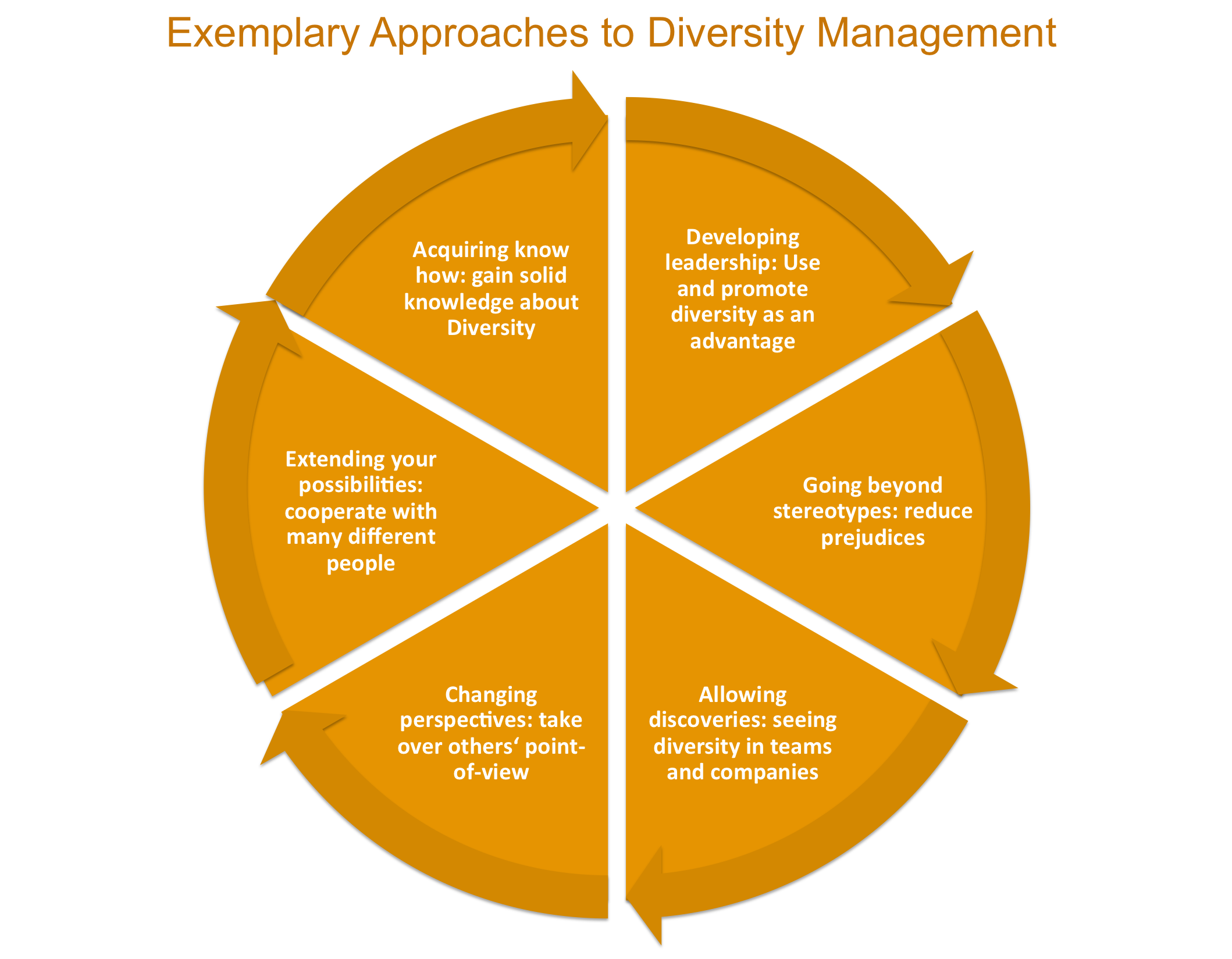 pwb-your-management-consultancy-diversity-management